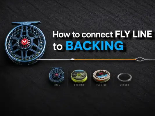Relier le backing à la soie de mouche - Relier le backing à la soie de mouche : nœuds et conseils